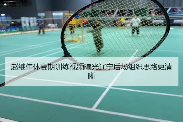 赵继伟休赛期训练视频曝光辽宁后场组织思路更清晰
