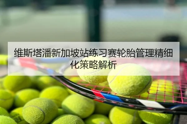 维斯塔潘新加坡站练习赛轮胎管理精细化策略解析